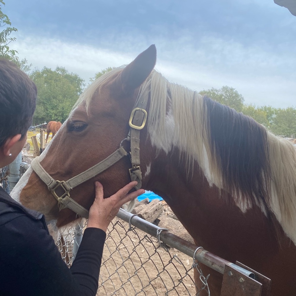 Meet your Posher, Paola - Picture 4 of 6